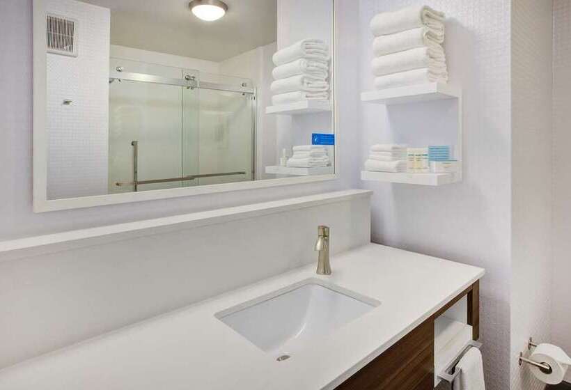 اتاق استاندارد برای معلولان, Hampton Inn Buffalo   Amherst, Ny