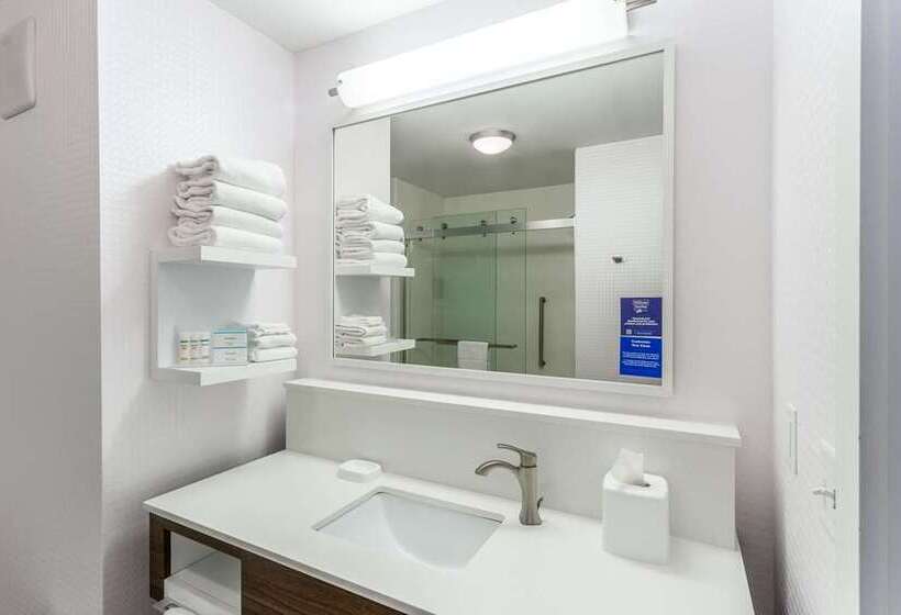 اتاق استاندارد برای معلولان, Hampton Inn Buffalo   Amherst, Ny
