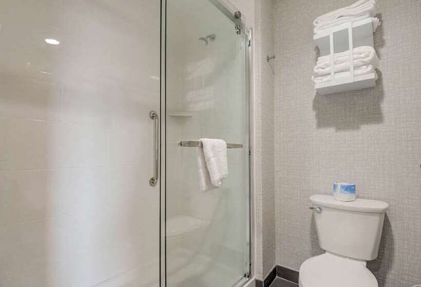 اتاق استاندارد, Hampton Inn & Suites Conway