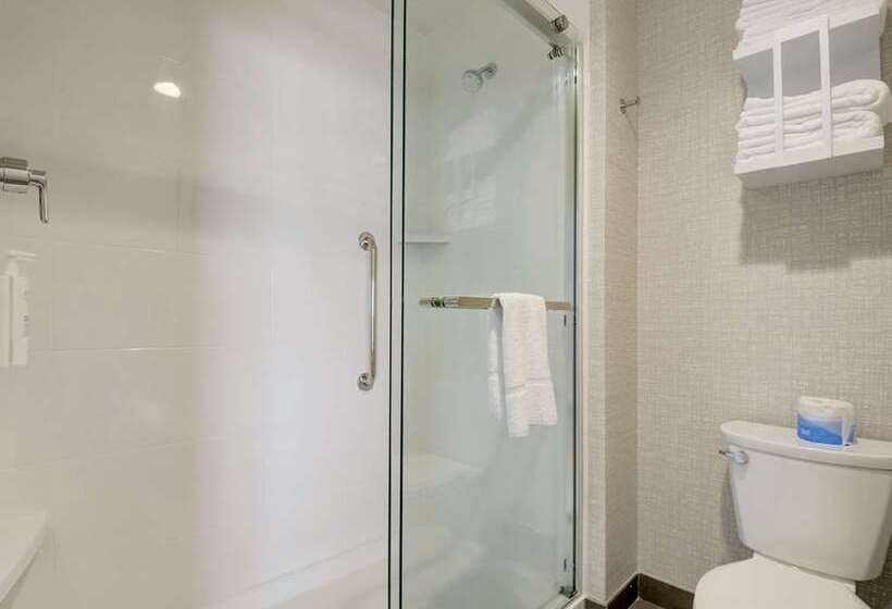 اتاق استاندارد, Hampton Inn & Suites Conway