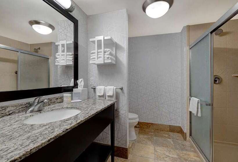 اتاق استاندارد, Hampton Inn & Suites Conway