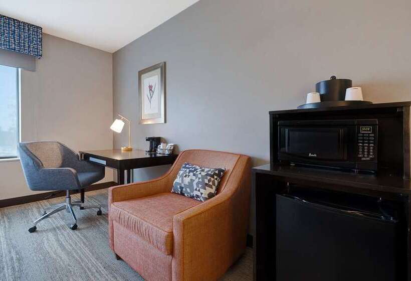 اتاق استاندارد, Hampton Inn & Suites Conway