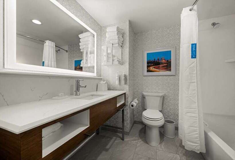 اتاق استاندارد برای معلولان, Hampton Inn & Suites Conway