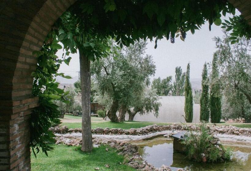 سوئیت جونیور با چشم‌انداز باغ, Rural Alqueria De Los Lentos