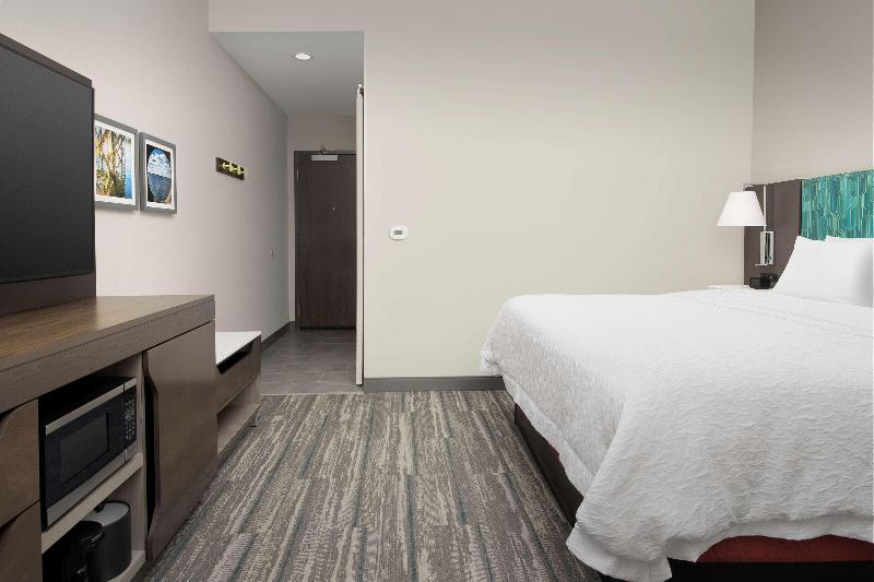 اتاق استاندارد با تخت بزرگ, Hampton Inn & Suites Lexington Columbia