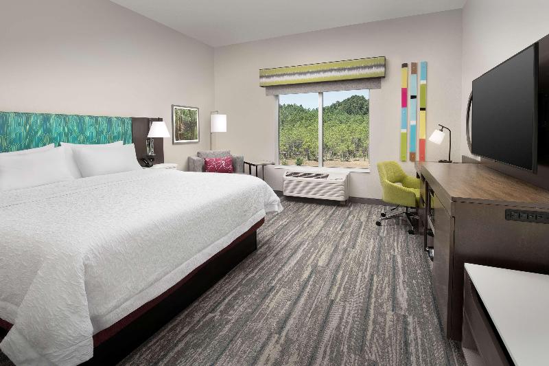 اتاق استاندارد با تخت بزرگ, Hampton Inn & Suites Lexington Columbia