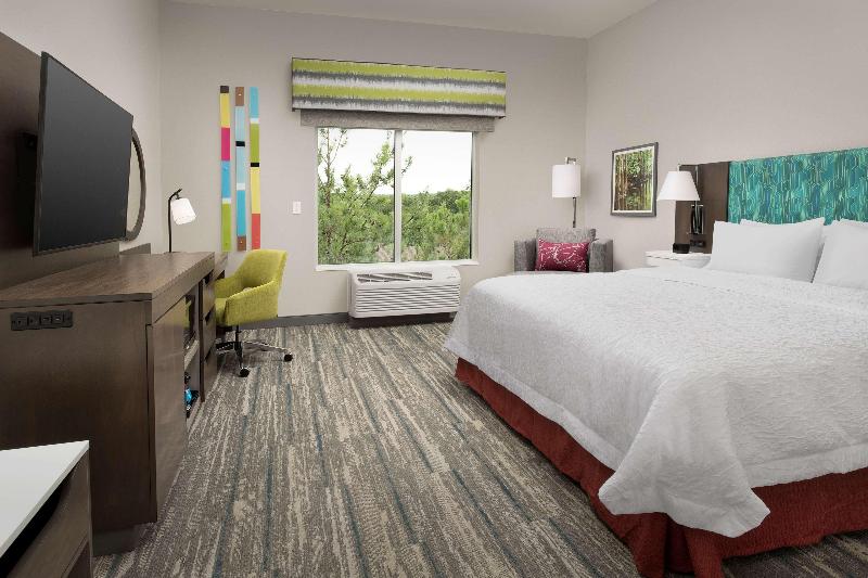 اتاق استاندارد برای معلولان, Hampton Inn & Suites Lexington Columbia