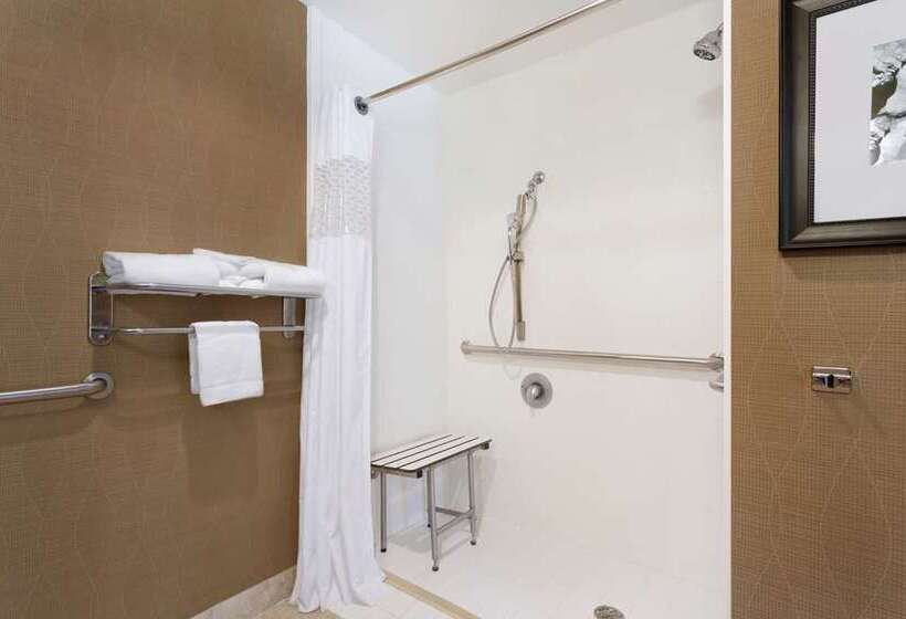 اتاق استاندارد با تخت بزرگ, Hampton Inn & Suites Lexington Columbia
