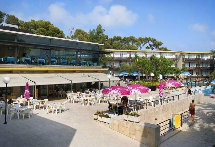 آپارتمان 2 خوابه با تراس, Aparthotel Comtat Sant Jordi