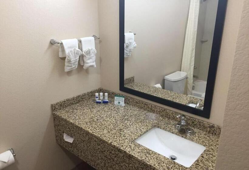 اتاق استاندارد با تخت بزرگ, Best Western Plus Gateway Inn & Suites   Aurora