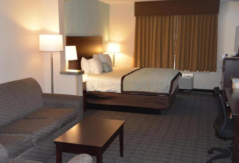 سوئیت با تخت بزرگ, Best Western Plus Gateway Inn & Suites   Aurora