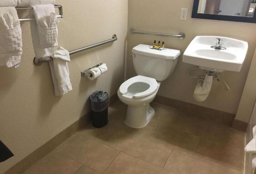 اتاق استاندارد برای معلولان, Best Western Plus Gateway Inn & Suites   Aurora
