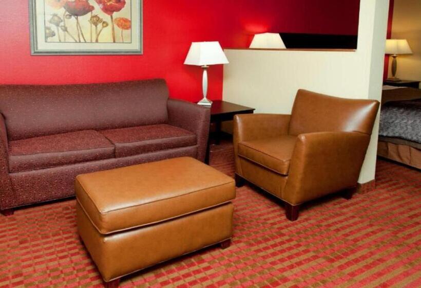 سوئیت با تخت بزرگ, Comfort Inn & Suites At I 74 And 155