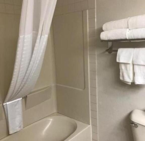 Quarto Estandar, Comfort Inn & Suites