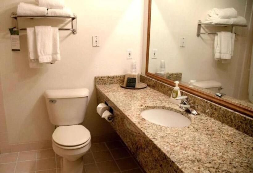 اتاق استاندارد, Comfort Inn & Suites At I 74 And 155
