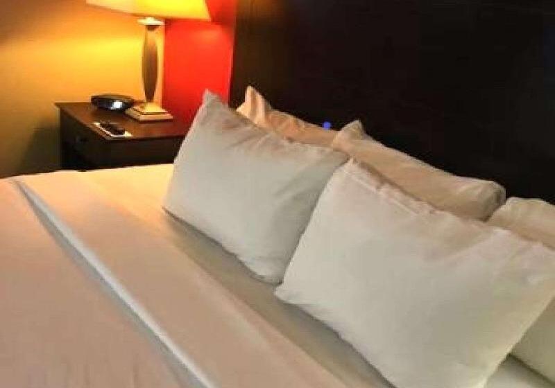 اتاق استاندارد با تخت بزرگ برای معلولان, Comfort Inn & Suites At I 74 And 155