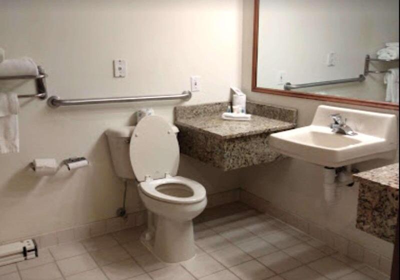 اتاق استاندارد با تخت بزرگ برای معلولان, Comfort Inn & Suites At I 74 And 155