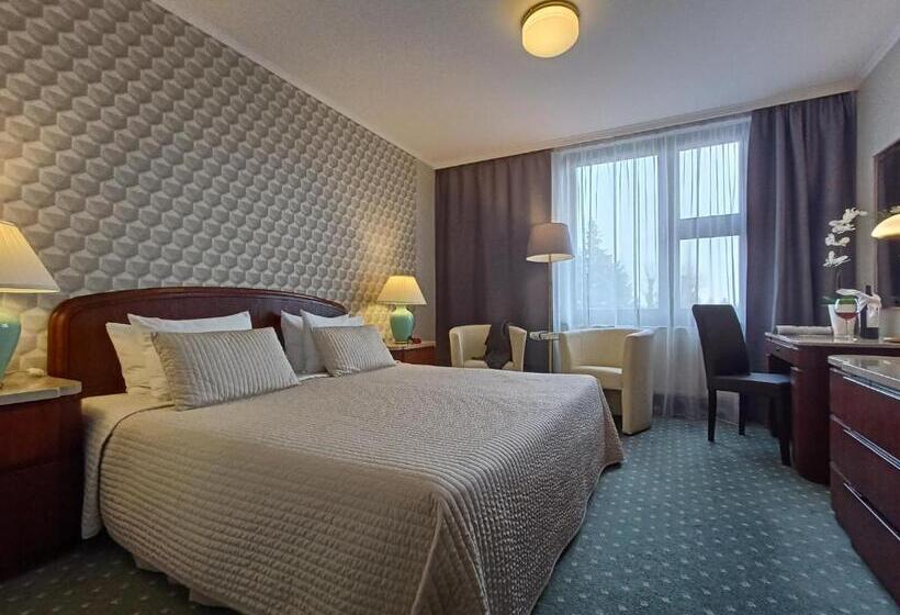 اتاق استاندارد با تخت بزرگ, Booking Hotel Crown Piast & Spa