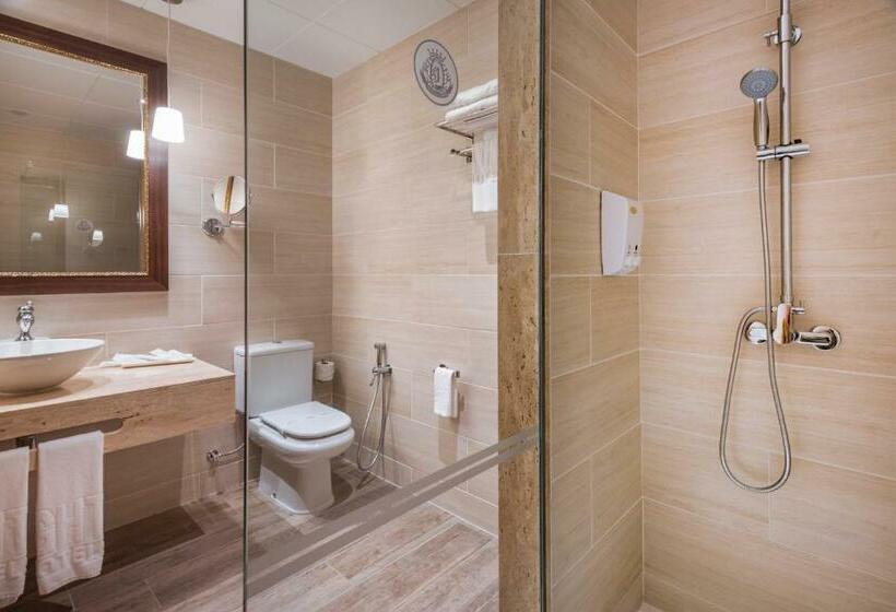 اتاق سوپریور, Ght Neptuno Tossa & Venus Spa