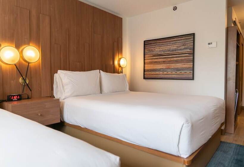 اتاق استاندارد, Indigo Detroit Downtown, An Ihg