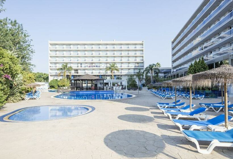 اتاق استاندارد, Sol Costa Daurada
