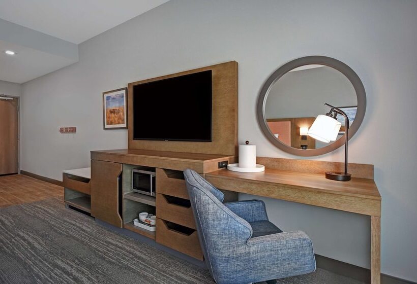 اتاق استاندارد با تخت دوبل برای معلولان, Hampton Inn Midland South