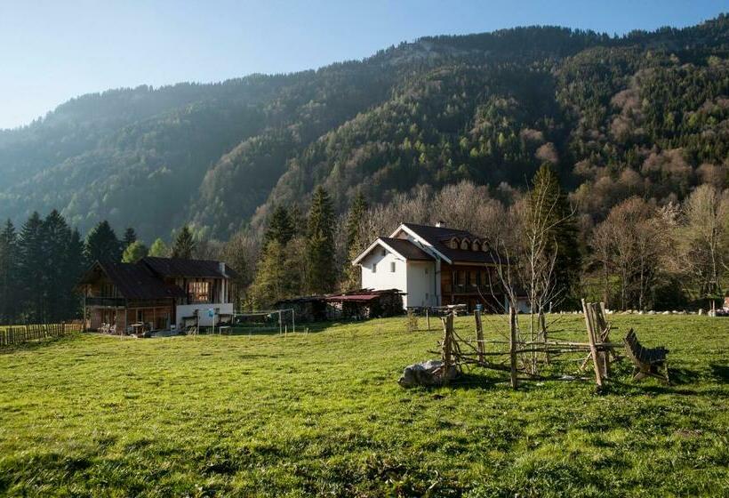 اتاق استاندارد با چشم‌انداز کوهستان, Riversong Centre Thermal