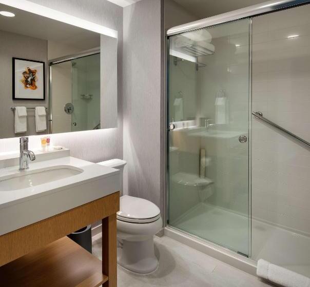 Suite King Size Seng, Hyatt Place Boston/seaport District