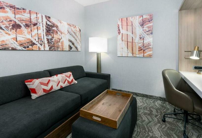 اتاق استاندارد با تخت بزرگ, Springhill Suites Lakeland