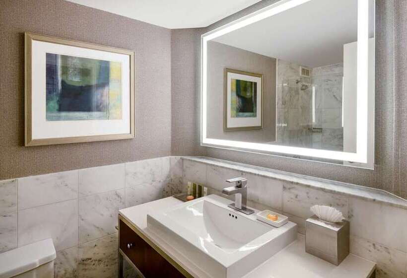 اتاق پرمیوم, Canopy By Hilton Austin Downtown