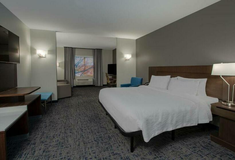 سوئیت با تخت بزرگ, Fairfield Inn & Suites Houston Katy