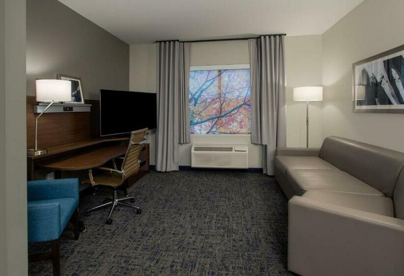 سوئیت با تخت بزرگ, Fairfield Inn & Suites Houston Katy