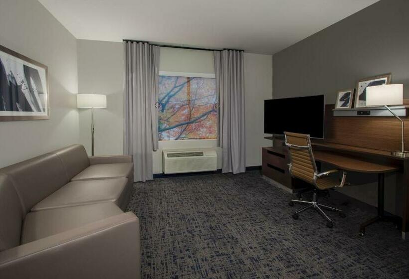 سوئیت با تخت بزرگ, Fairfield Inn & Suites Houston Katy