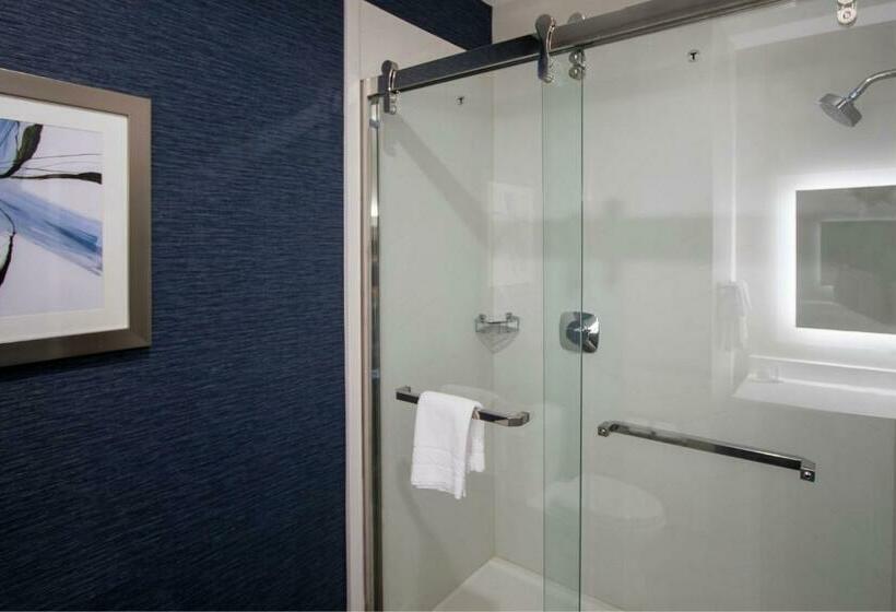 سوئیت با تخت بزرگ, Fairfield Inn & Suites Houston Katy