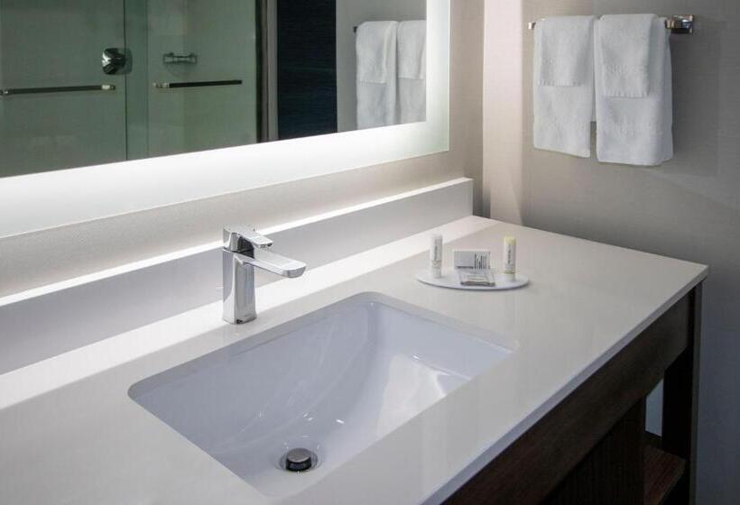 سوئیت با تخت بزرگ, Fairfield Inn & Suites Houston Katy