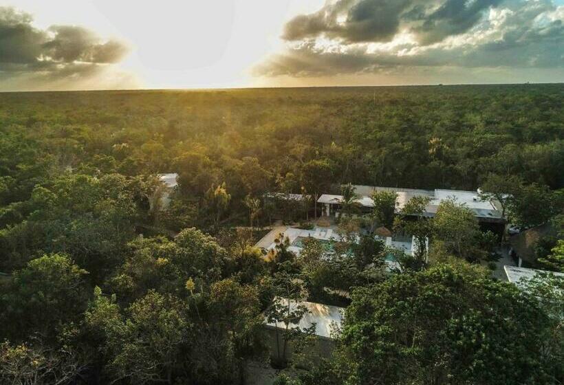 سوئیت با تخت بزرگ, Jungle Lodge Boutique Hotel   Adults Only