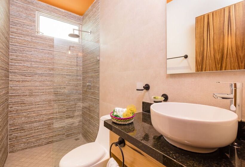 اتاق لوکس, Riviera Sayulita