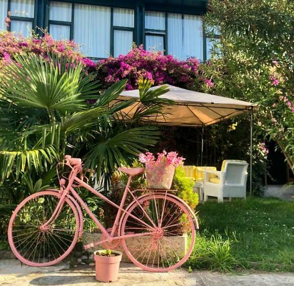 Single Room Garden View, El Ancla