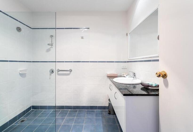 اتاق استاندارد, Mayfair Plaza Motel And Apartments