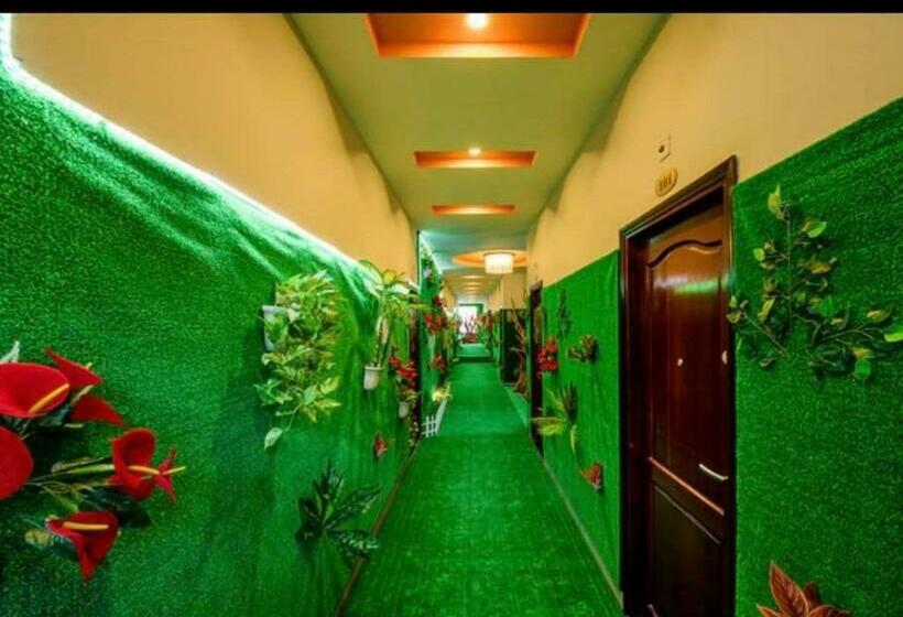 اتاق لوکس چهار تخته, Anh Vu Hotel & Restaurant Phu Quoc