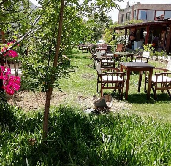 اتاق یک تخته با چشم‌انداز باغ, Green House Boğaziçi – Dodo House