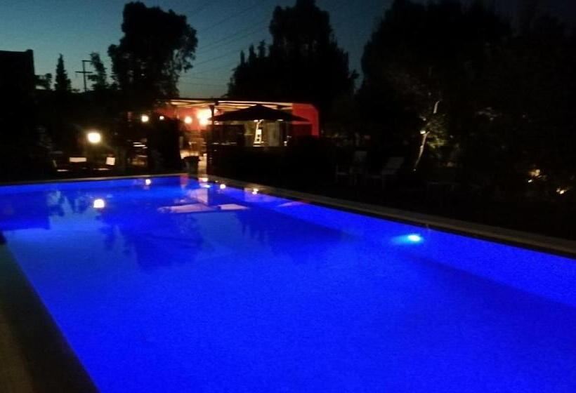 اتاق یک تخته با چشم‌انداز باغ, Green House Boğaziçi – Dodo House