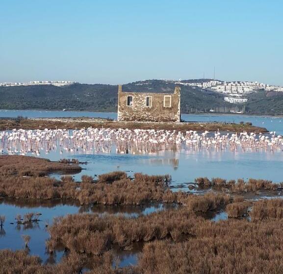 ویلای 2 خوابه, Green House Boğaziçi – Dodo House