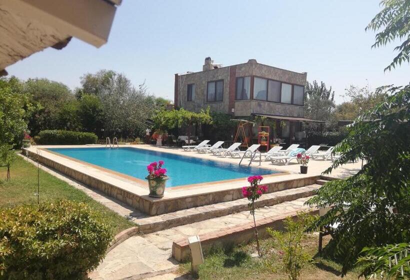 اتاق ساده سه‌ نفره, Green House Boğaziçi – Dodo House