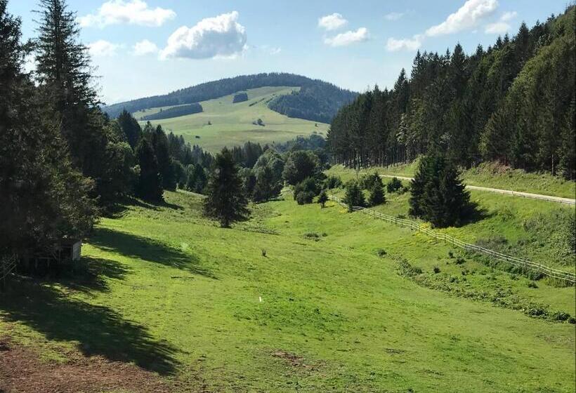 اتاق استاندارد, Waldhotel Auerhahn Hochkopfhaus