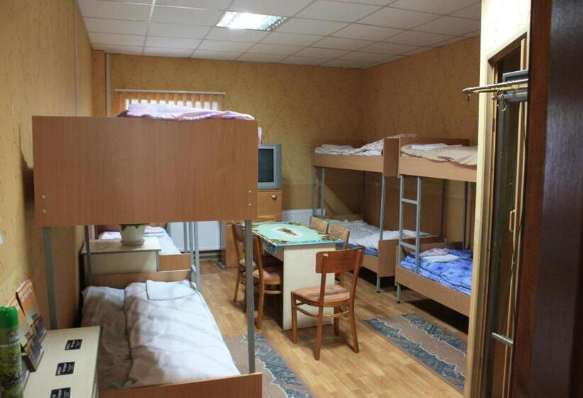 تختخواب در اتاق مشترک, Motel Pid Strihoyu