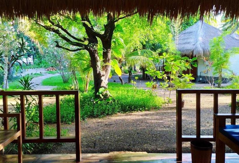 اتاق لوکس, Amrita Maumere Resort