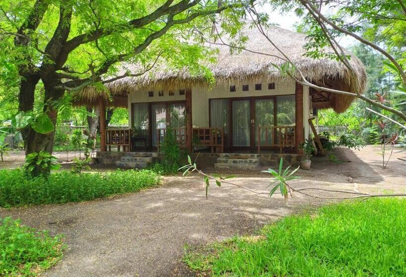 اتاق لوکس, Amrita Maumere Resort