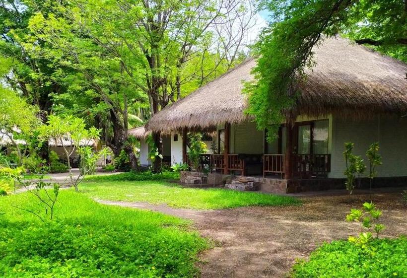 اتاق استاندارد, Amrita Maumere Resort