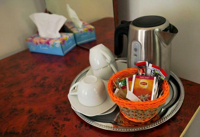 اتاق اکونومی, Bucharest Downtown Inn